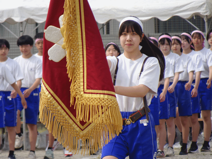 予行anigif
